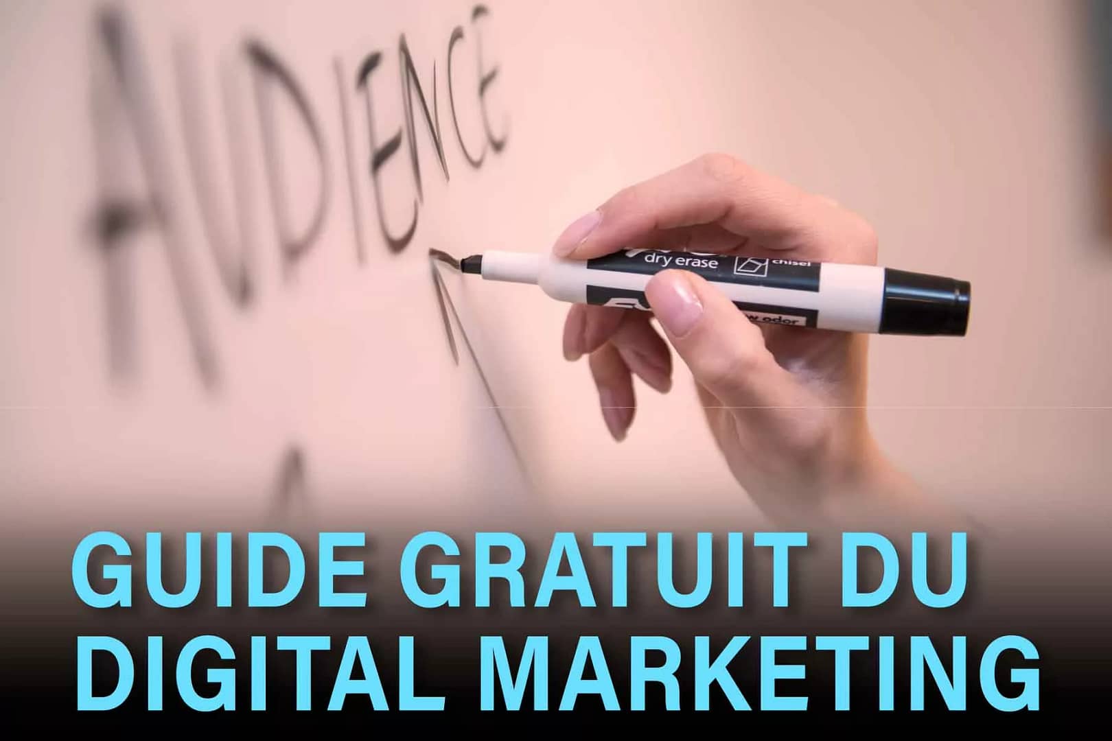 Digital Music Marketing